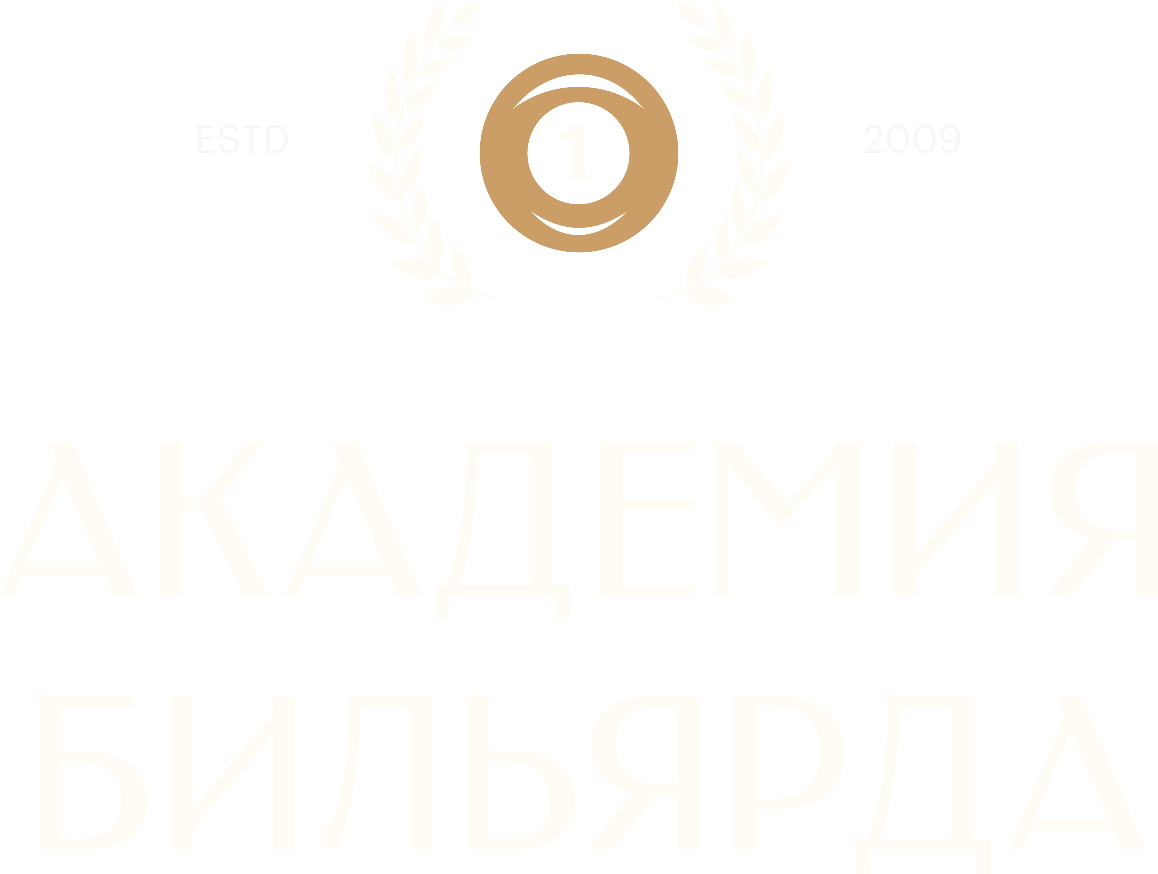 Академия Бильярда, основана в 2009
